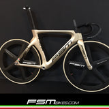 FSM PISTA Gold version