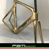 FSM PISTA Gold version