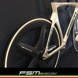 FSM PISTA Gold version